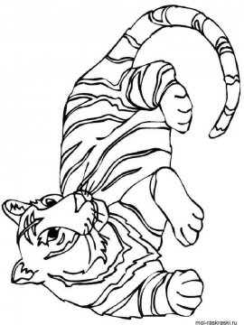 Раскраска Тигр 17 - Бесплатно распечатать
