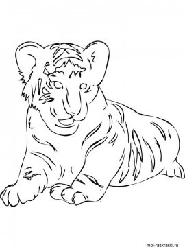 Раскраска Тигр 18 - Бесплатно распечатать