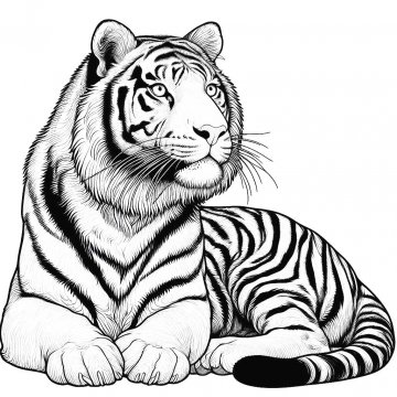 Раскраска Тигр 36 - Бесплатно распечатать