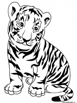 Раскраска Тигр 5 - Бесплатно распечатать