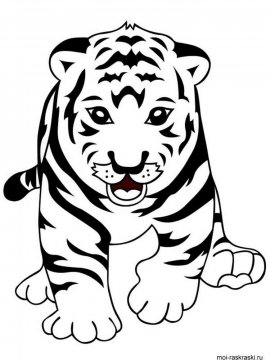 Раскраска Тигр 6 - Бесплатно распечатать