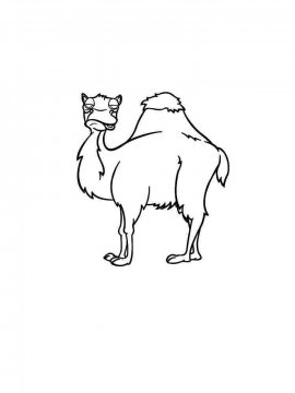Раскраска Верблюд 25 - Бесплатно распечатать