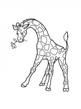 Раскраска Жираф 1 - Бесплатно распечатать
