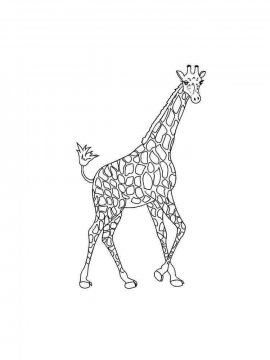 Раскраска Жираф 13 - Бесплатно распечатать