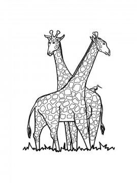 Раскраска Жираф 18 - Бесплатно распечатать