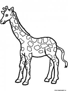 Раскраска Жираф 40 - Бесплатно распечатать