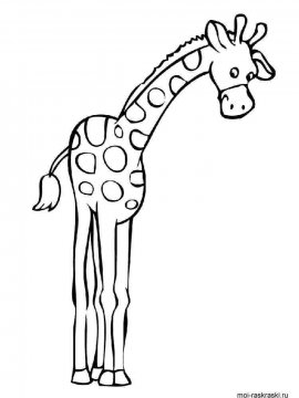 Раскраска Жираф 41 - Бесплатно распечатать