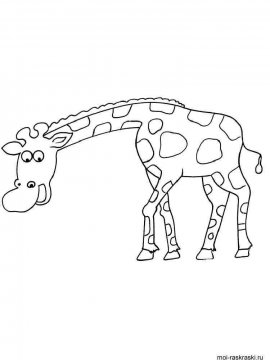 Раскраска Жираф 43 - Бесплатно распечатать