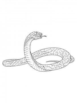 Раскраска Змея 30 - Бесплатно распечатать