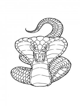 Раскраска Змея 24 - Бесплатно распечатать