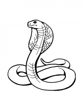 Раскраска Змея 27 - Бесплатно распечатать