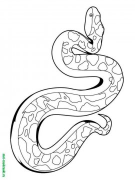 Раскраска Змея 16 - Бесплатно распечатать