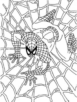Раскраска Человек паук сплел паутину