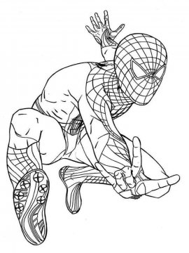 Раскраска Человек паук смельчак