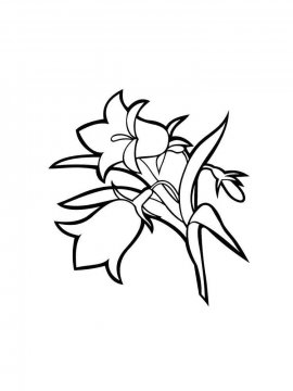Раскраска Цветок Колокольчик 16 - Бесплатно распечатать