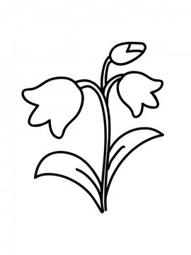 Раскраска Цветок Колокольчик 19 - Бесплатно распечатать