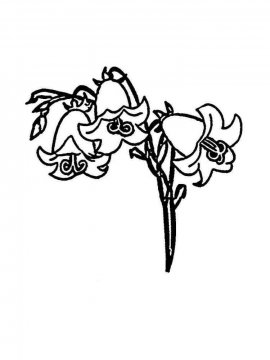 Раскраска Цветок Колокольчик 1 - Бесплатно распечатать
