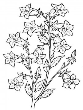 Раскраска Цветок Колокольчик 3 - Бесплатно распечатать