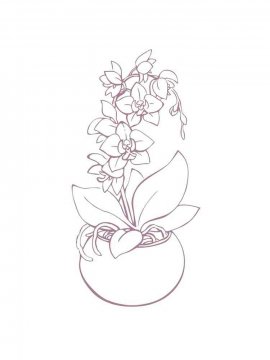 Раскраска Орхидея 31 - Бесплатно распечатать