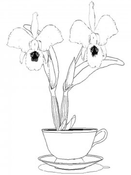 Раскраска Орхидея 9 - Бесплатно распечатать