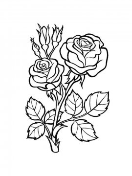 Раскраска Роза 16 - Бесплатно распечатать