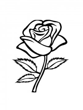 Раскраска Роза 20 - Бесплатно распечатать