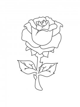 Раскраска Роза 7 - Бесплатно распечатать