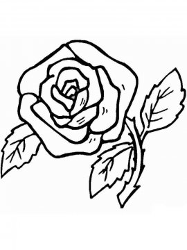 Раскраска Роза 34 - Бесплатно распечатать
