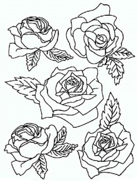 Раскраска Роза 38 - Бесплатно распечатать