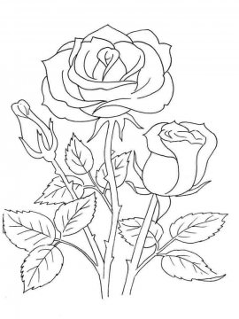Раскраска Роза 43 - Бесплатно распечатать