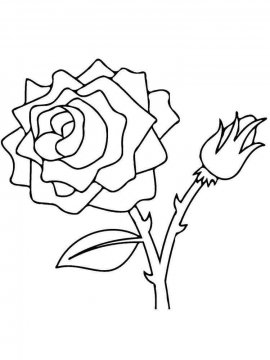 Раскраска Роза 45 - Бесплатно распечатать