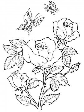 Раскраска Роза 28 - Бесплатно распечатать