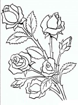 Раскраска Роза 32 - Бесплатно распечатать