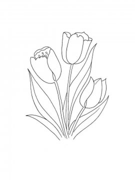 Раскраска Тюльпан 14 - Бесплатно распечатать
