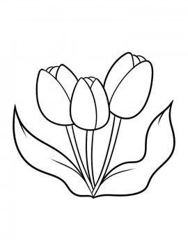 Раскраска Тюльпан 19 - Бесплатно распечатать