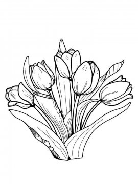 Раскраска Тюльпан 25 - Бесплатно распечатать