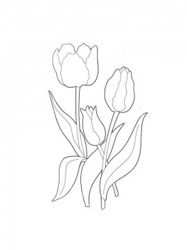Раскраска Тюльпан 26 - Бесплатно распечатать