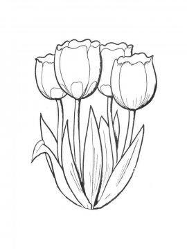 Раскраска Тюльпан 4 - Бесплатно распечатать