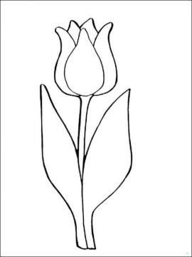 Раскраска Тюльпан 41 - Бесплатно распечатать