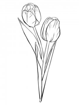 Раскраска Тюльпан 43 - Бесплатно распечатать