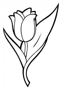 Раскраска Тюльпан 34 - Бесплатно распечатать