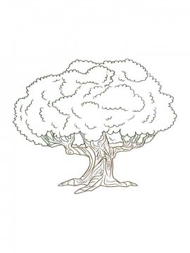 Раскраска Дерево 33 - Бесплатно распечатать