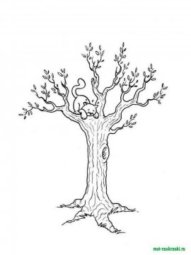 Раскраска Дерево 2 - Бесплатно распечатать