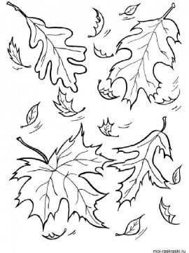 Раскраска Листья 4 - Бесплатно распечатать