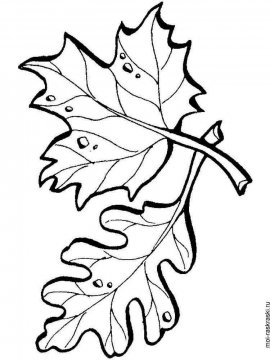 Раскраска Листья Деревьев 12 - Бесплатно распечатать