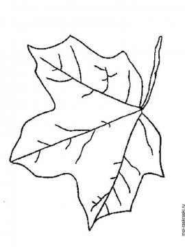 Раскраска Листья Деревьев 20 - Бесплатно распечатать