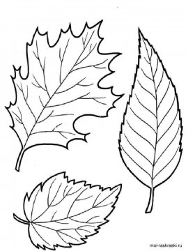 Раскраска Листья Деревьев 34 - Бесплатно распечатать
