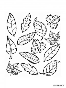 Раскраска Листья Деревьев 36 - Бесплатно распечатать