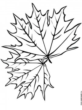 Раскраска Листья Деревьев 37 - Бесплатно распечатать