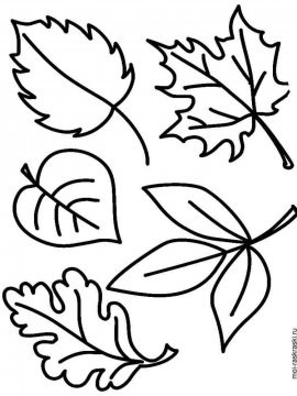 Раскраска Листья Деревьев 6 - Бесплатно распечатать